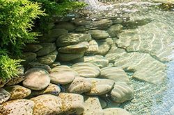 Создание водоемов на даче - пруды, бассейны и фонтаны  в Истре