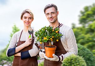 Проект «под ключ» где можно заказать по низкой цене  в Истре