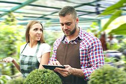 Дендроплан - верное планирование территории и решения этой задачи на уровне  в Истре