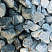 Kamenclub.ru: Щебень галтованный зеленый (змеевик) фр. 50-100 мм.  купить в Истре галтовка мраморная зеленый, салатовый мрамор 12 500 руб/т   фото КАМЕНЬ КЛУБ