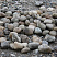 Kamenclub.ru: Речной валун (Ассорти) фр.100-300 мм.  купить в Истре галечник серый, темно-серый, светло-серый речная галька крупных размеров 4200 руб/т   фото КАМЕНЬ КЛУБ