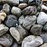 Kamenclub.ru: Речной валун Кабанчик фр.300-500 мм.  купить в Истре крупный природный камень галька серый, темно-серый речной валун галечник масштабный 7000 руб/т   фото КАМЕНЬ КЛУБ