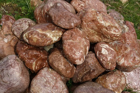 Kamenclub.ru: Розовый валунчик фр.100-300 мм.  купить в Истре крупный природный камень розовый, серый молочный красный речной галечник природный 7850 руб/т   фото КАМЕНЬ КЛУБ