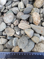 Kamenclub.ru: Галька речная окат (пестрая) фр. 20-40 мм. купить  в Истре галька речная пестрая, серая, серые оттенки галька речная окатанная округлая 5000 руб/т   фото КАМЕНЬ КЛУБ