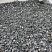 Kamenclub.ru: Щебень крошка черный (мрамор) фр. 10-20 мм.  купить в Истре мрамор черный с белыми прожилками, черный, белый каменная ландшафтная декоративная крошка щебня 11000 руб/т   фото КАМЕНЬ КЛУБ