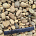 Kamenclub.ru: Галька речная окат рыжая фр. 20-40 мм. купить  в Истре галька речная окатанная рыжая желтая серая округлая речная галька 5000 руб/т   фото КАМЕНЬ КЛУБ