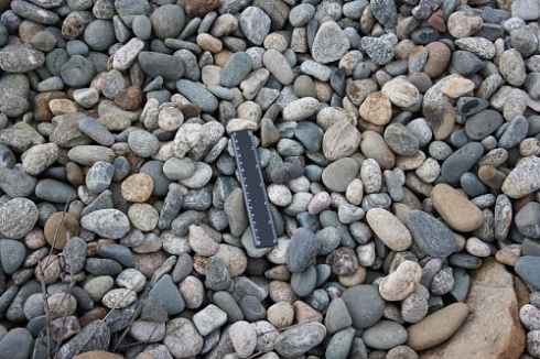 Kamenclub.ru: Галька речная окат (пестрая) фр. 20-40 мм. купить  в Истре галька речная пестрая, серая, серые оттенки галька речная окатанная округлая 5000 руб/т   фото КАМЕНЬ КЛУБ