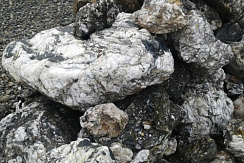 Kamenclub.ru: Черный гранит - кварцит фр. 100-500 мм.  купить в Истре мрамор гранит черный с белыми прожилками, серый, белый валун скальный колотый 7000 руб/т   фото КАМЕНЬ КЛУБ