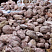 Kamenclub.ru: Розовый валунчик фр.100-300 мм.  купить в Истре крупный природный камень розовый, серый молочный красный речной галечник природный 7850 руб/т   фото КАМЕНЬ КЛУБ