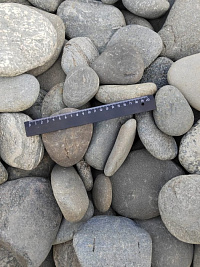 Kamenclub.ru: Галька речная плоская (серо-белая) фр. 70-120 мм. купить в Истре галька галечник речной серый, белый окатанная плоская  природная галька 9000 руб/т   фото КАМЕНЬ КЛУБ