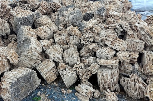 Kamenclub.ru: Крымский природный меотис фр. 100-500 мм.  купить в Истре меотис бежевый рыжий молочный желтый ракушечник 4 500 руб/т   фото КАМЕНЬ КЛУБ