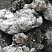 Kamenclub.ru: Черный гранит - кварцит фр. 100-500 мм.  купить в Истре мрамор гранит черный с белыми прожилками, серый, белый валун скальный колотый 7000 руб/т   фото КАМЕНЬ КЛУБ