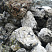 Kamenclub.ru: Черный гранит - кварцит фр. 100-500 мм.  купить в Истре мрамор гранит черный с белыми прожилками, серый, белый валун скальный колотый 7000 руб/т   фото КАМЕНЬ КЛУБ