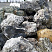 Kamenclub.ru: Черный гранит - кварцит фр. 500-1000 мм.  купить в Истре гранит кварцит черный серый белый скальный колотый валун 9750 руб/т   фото КАМЕНЬ КЛУБ