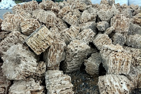 Kamenclub.ru: Крымский природный меотис фр. 100-500 мм.  купить в Истре меотис бежевый рыжий молочный желтый ракушечник 4 500 руб/т   фото КАМЕНЬ КЛУБ