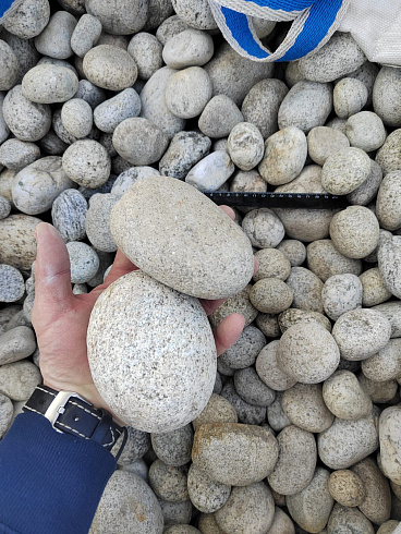 Kamenclub.ru: Галька речная окат (серо-белая) фр. 70-120 мм купить  в Истре галька галечник бело-серая, серо-белая, серая, белая речная природная галька  8000 руб/т   фото КАМЕНЬ КЛУБ