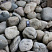 Kamenclub.ru: Темно-серый валунчик фр.100-300 мм.  купить в Истре крупный природный камень серый, темно-серый, светло-серый речная галька большого размера окатанная 4500 руб/т   фото КАМЕНЬ КЛУБ
