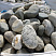 Kamenclub.ru: Речной валун (Ассорти) фр.100-300 мм.  купить в Истре галечник серый, темно-серый, светло-серый речная галька крупных размеров 4200 руб/т   фото КАМЕНЬ КЛУБ