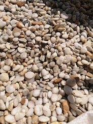 Галька Крымская Жемчужина фр. 10-20 мм.  купить в Истре фото Камень Клуб