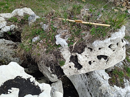 Kamenclub.ru: Выветренный известняк (степной) фр. 500-1500 мм.  купить в Истре    10000 руб/т   фото КАМЕНЬ КЛУБ