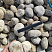 Kamenclub.ru: Галька речная окат (серо-белая) фр. 70-120 мм купить  в Истре галька галечник бело-серая, серо-белая, серая, белая речная природная галька  8000 руб/т   фото КАМЕНЬ КЛУБ