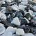 Kamenclub.ru: Мраморная крошка (щебень галтованный микс:: белый-черный) фр.20-40 мм  купить в Истре мрамор белый, черный мраморный галтованный щебень 15500 руб/т   фото КАМЕНЬ КЛУБ