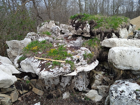 Kamenclub.ru: Выветренный известняк со мхом фр. 100-500 мм.  купить в Истре известняк серый белый зеленый валун известняковый крупный 10000 руб/т   фото КАМЕНЬ КЛУБ