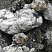 Kamenclub.ru: Черный гранит - кварцит фр. 100-500 мм.  купить в Истре мрамор гранит черный с белыми прожилками, серый, белый валун скальный колотый 7000 руб/т   фото КАМЕНЬ КЛУБ