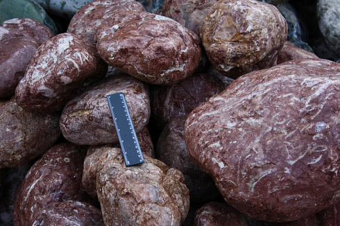 Kamenclub.ru: Розовый валунчик фр.100-300 мм.  купить в Истре крупный природный камень розовый, серый молочный красный речной галечник природный 7850 руб/т   фото КАМЕНЬ КЛУБ