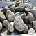 Kamenclub.ru: Речной валун (Ассорти) фр.100-300 мм.  купить в Истре галечник серый, темно-серый, светло-серый речная галька крупных размеров 4200 руб/т   фото КАМЕНЬ КЛУБ