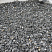 Kamenclub.ru: Щебень крошка черный (мрамор) фр. 5-10 мм.  купить в Истре мрамор черный с белыми прожилками, черный, белый мраморная крошка декоративная ландшафтная 11000 руб/т   фото КАМЕНЬ КЛУБ