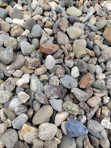 Kamenclub.ru: Галька речная окат (серая) фр.10-20 мм купить  в Истре галька речная серая, серый, темно-серый, светло-серый, коричневый ландшафтная декоративная речная окатанная округлая галька 5000 руб/т   фото КАМЕНЬ КЛУБ