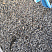 Kamenclub.ru: Галька речная окат (серая) фр.3-5 мм купить  в Истре галька речная серая бежевый темно-серый окатанный речной камень округлый 9500 руб/т   фото КАМЕНЬ КЛУБ