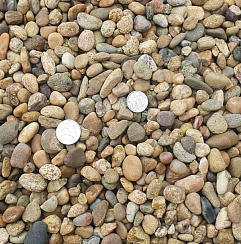 Kamenclub.ru: Галька окат (серо-желтая) фр.10-20 мм. купить  в Истре галька серо-желтая, рыжая, серый речная окатанная округлая галька 5000 руб/т   фото КАМЕНЬ КЛУБ