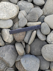 Kamenclub.ru: Галька речная плоская (ассорти) фр. 70-150 мм. купить в Истре галька галечник серый белый темно-серый синий светло-серый плоская природная галька  9000 руб/т   фото КАМЕНЬ КЛУБ