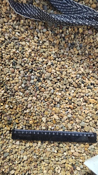 Kamenclub.ru: Галька окат (серо-желтая) фр.5-10 мм. купить  в Истре галька речная рыжий, желтый, рыжий, серо-желтый речная окатанная галька декоративная 5000 руб/т   фото КАМЕНЬ КЛУБ