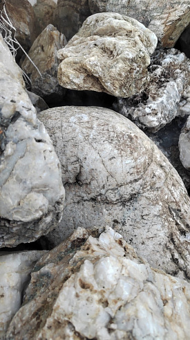 Kamenclub.ru: Кварцевый валунчик фр.100-300 мм.  купить в Истре кварц белый, бежевый молочный рыжий крупный природный камень галечник 7850 руб/т   фото КАМЕНЬ КЛУБ