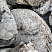 Kamenclub.ru: Кварцевый валунчик фр.100-300 мм.  купить в Истре кварц белый, бежевый молочный рыжий крупный природный камень галечник 7850 руб/т   фото КАМЕНЬ КЛУБ