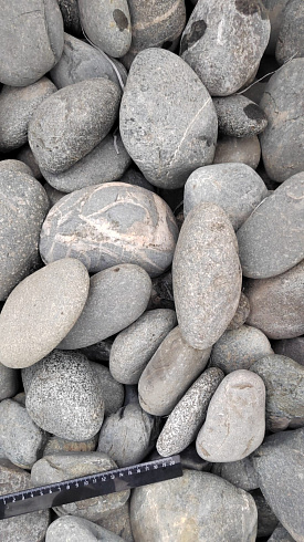 Kamenclub.ru: Галька речная окат (темно-серая) фр. 70-150 мм. купить  в Истре галька речная темно-серая, синяя, серая речная галька округлая  8000 руб/т   фото КАМЕНЬ КЛУБ