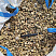 Kamenclub.ru: Галька речная окат рыжая фр. 20-40 мм. купить  в Истре галька речная окатанная рыжая желтая серая округлая речная галька 5000 руб/т   фото КАМЕНЬ КЛУБ