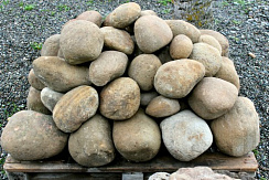 Kamenclub.ru: Песчаник ядра, фр. 100-300 мм  купить в Истре песчаник бежевый серый рыжий речная галька 5 000 руб/т   фото КАМЕНЬ КЛУБ