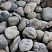 Kamenclub.ru: Речной валун (Ассорти) фр.100-300 мм.  купить в Истре галечник серый, темно-серый, светло-серый речная галька крупных размеров 4200 руб/т   фото КАМЕНЬ КЛУБ