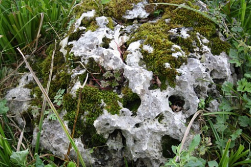 Kamenclub.ru: Выветренный известняк со мхом фр. 100-500 мм.  купить в Истре известняк серый белый зеленый валун известняковый крупный 10000 руб/т   фото КАМЕНЬ КЛУБ