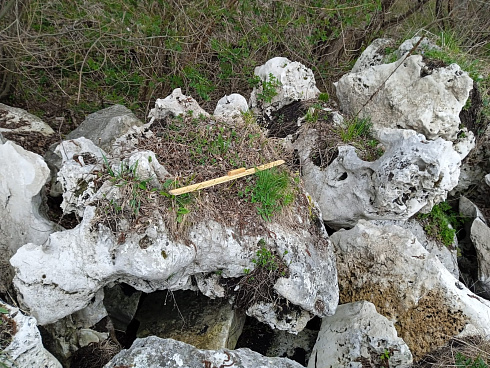 Kamenclub.ru: Выветренный известняк (степной) фр. 500-1500 мм.  купить в Истре    10000 руб/т   фото КАМЕНЬ КЛУБ