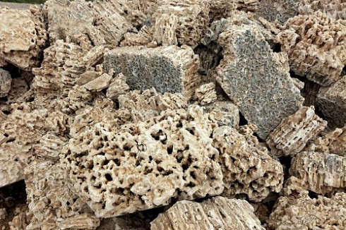 Kamenclub.ru: Крымский природный меотис фр. 100-500 мм.  купить в Истре меотис бежевый рыжий молочный желтый ракушечник 4 500 руб/т   фото КАМЕНЬ КЛУБ