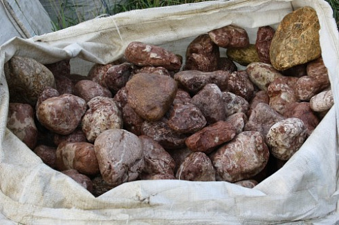 Kamenclub.ru: Розовый валунчик фр.100-300 мм.  купить в Истре крупный природный камень розовый, серый молочный красный речной галечник природный 7850 руб/т   фото КАМЕНЬ КЛУБ