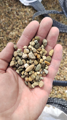 Kamenclub.ru: Галька окат (серо-желтая) фр.5-10 мм. купить  в Истре галька речная рыжий, желтый, рыжий, серо-желтый речная окатанная галька декоративная 5000 руб/т   фото КАМЕНЬ КЛУБ